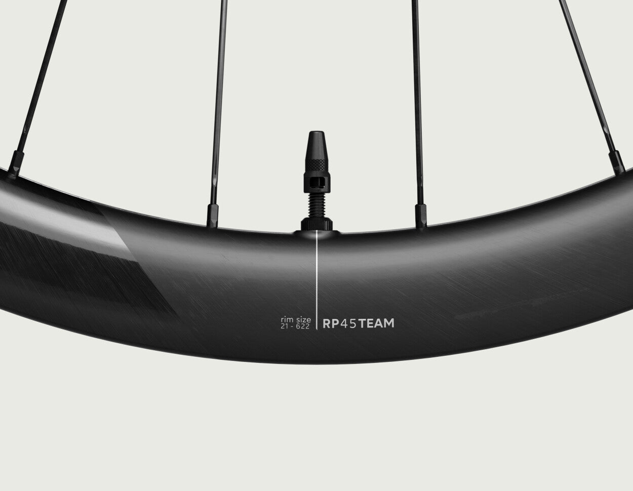 Rueda Ruta Oquo RP45TEAM Shimano HG Negra Par