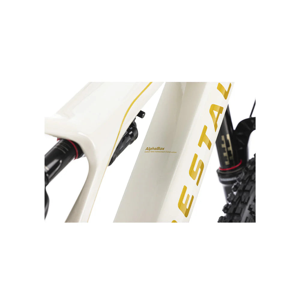 Bicicleta Electrica Forestal 29" Cyon Halo Crayon Grey
