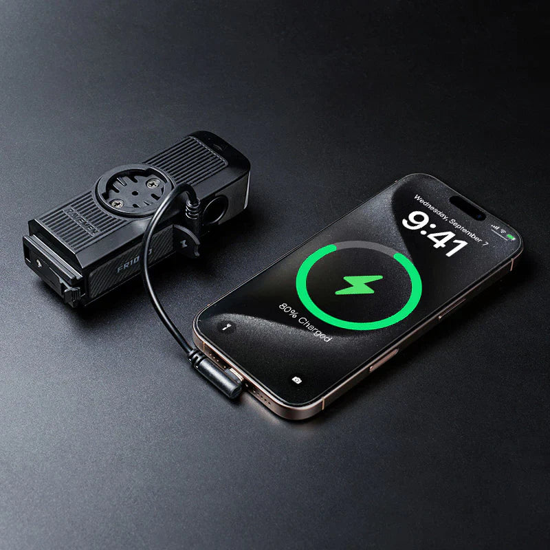 Luz Ravemen FR1000