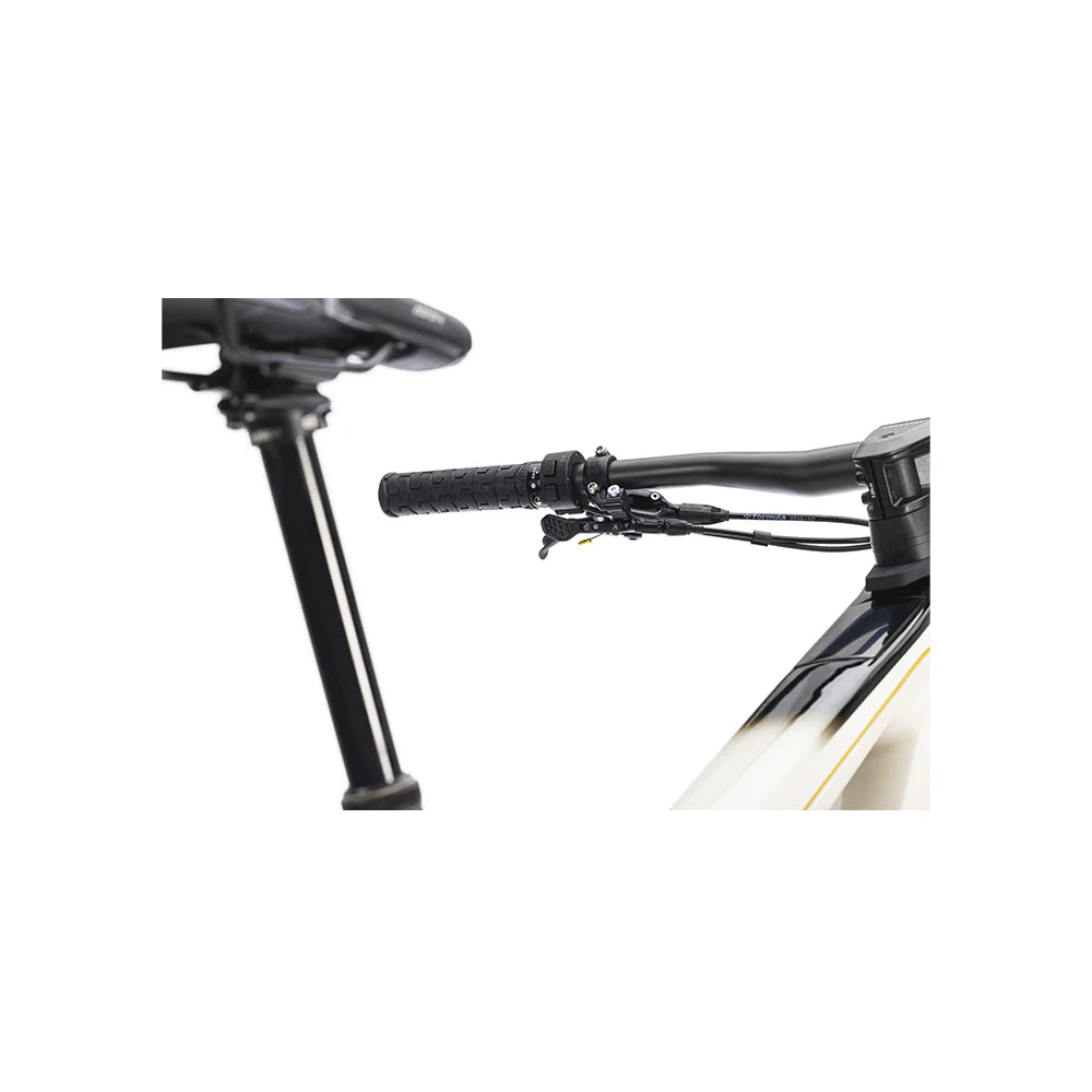 Bicicleta Electrica Forestal 29" Cyon Halo Crayon Grey
