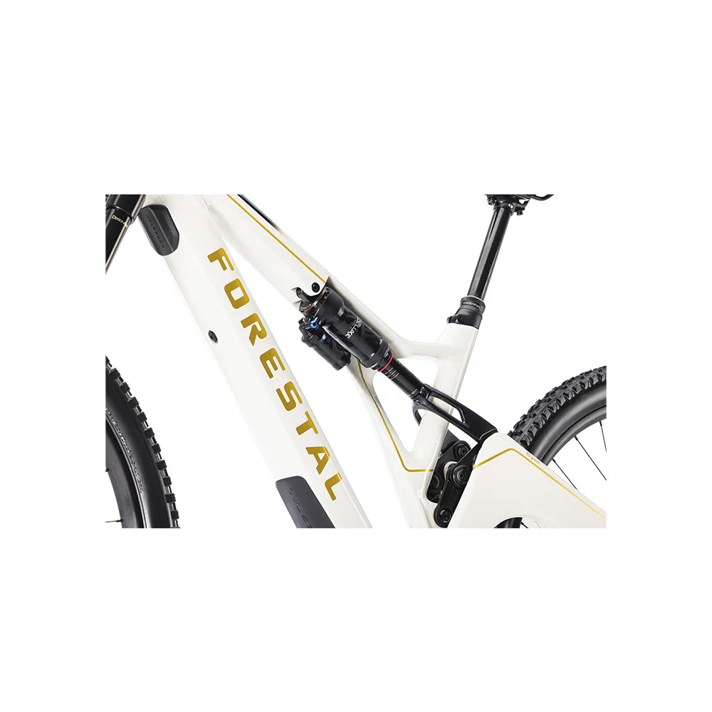 Bicicleta Electrica Forestal 29" Cyon Halo Crayon Grey