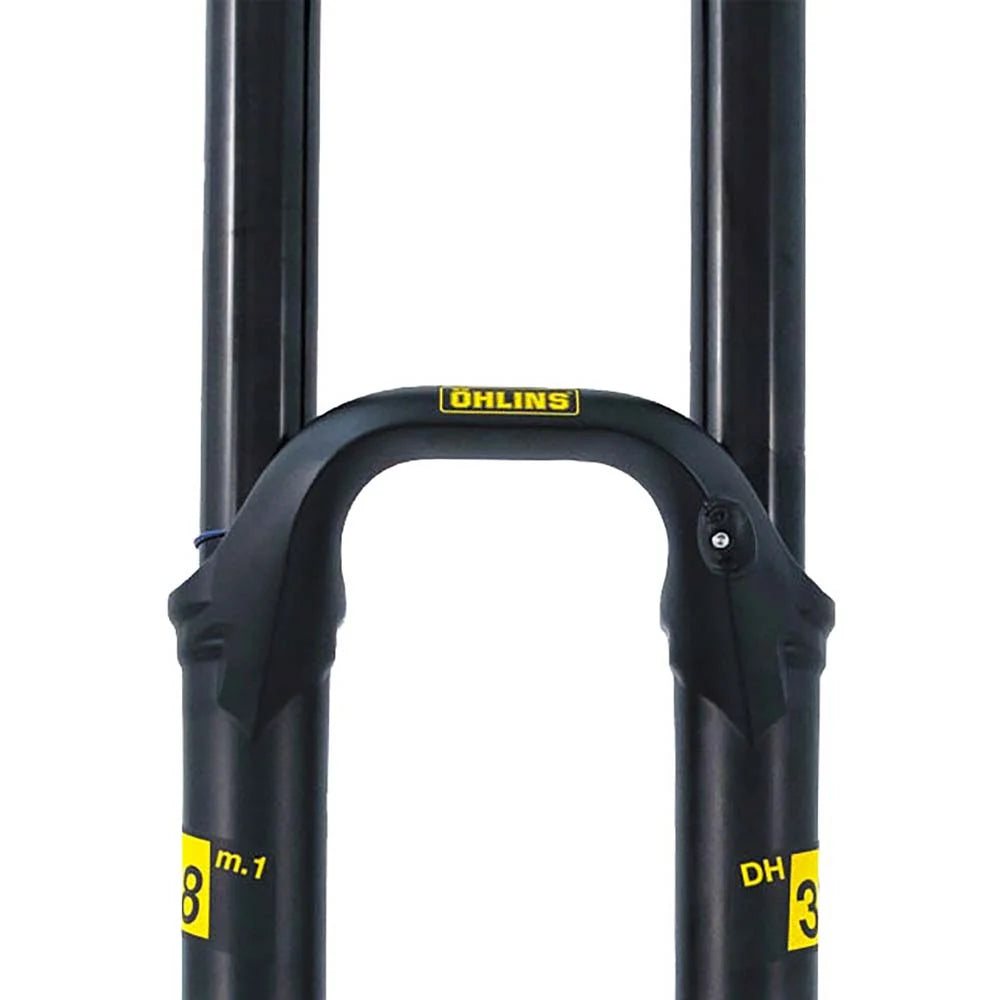 Horquilla OHLINS DH38 M.1 29in 200mm Offset 50 TTX18