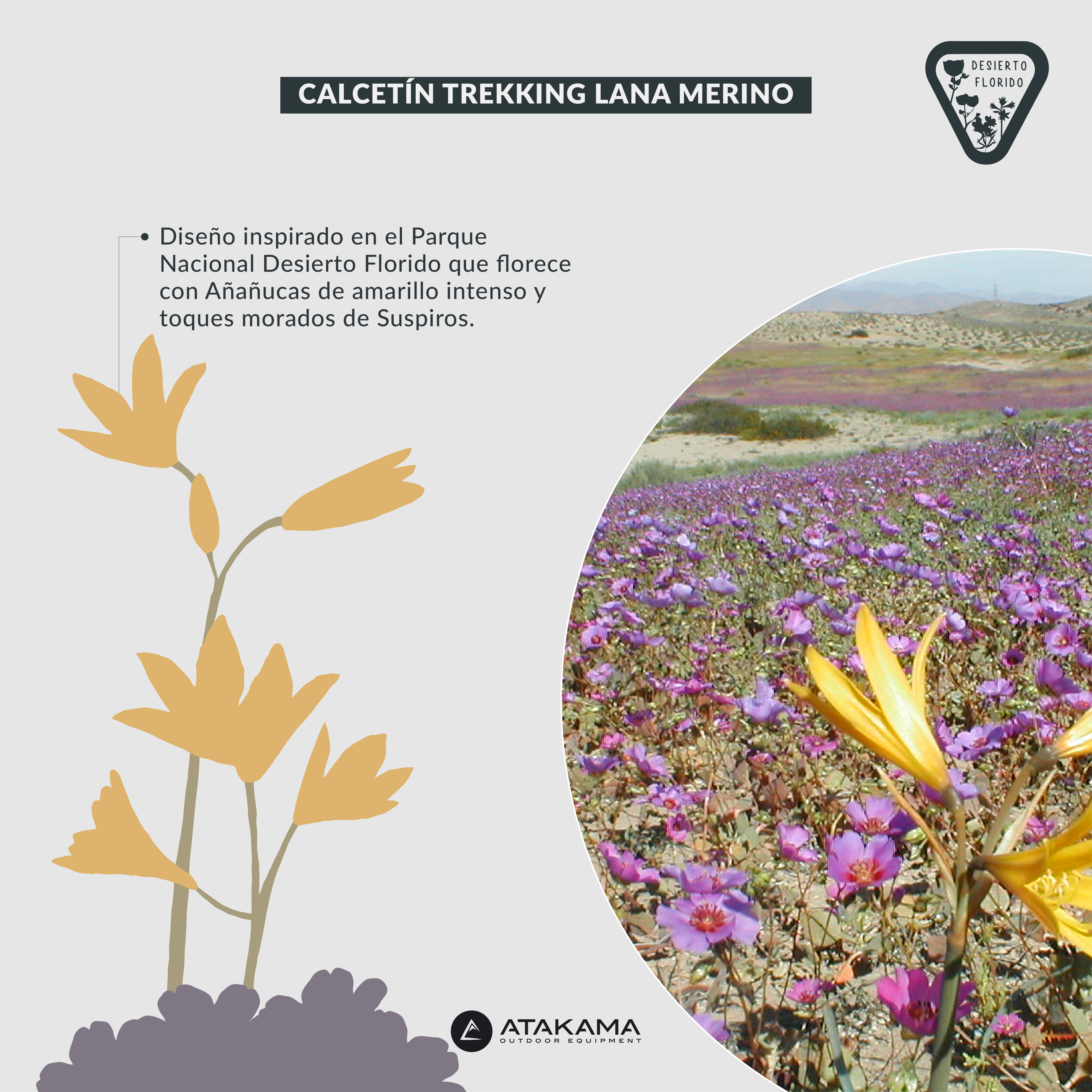 Calcetín Trekking Desierto Florido Lana Merino Caña Media Baja