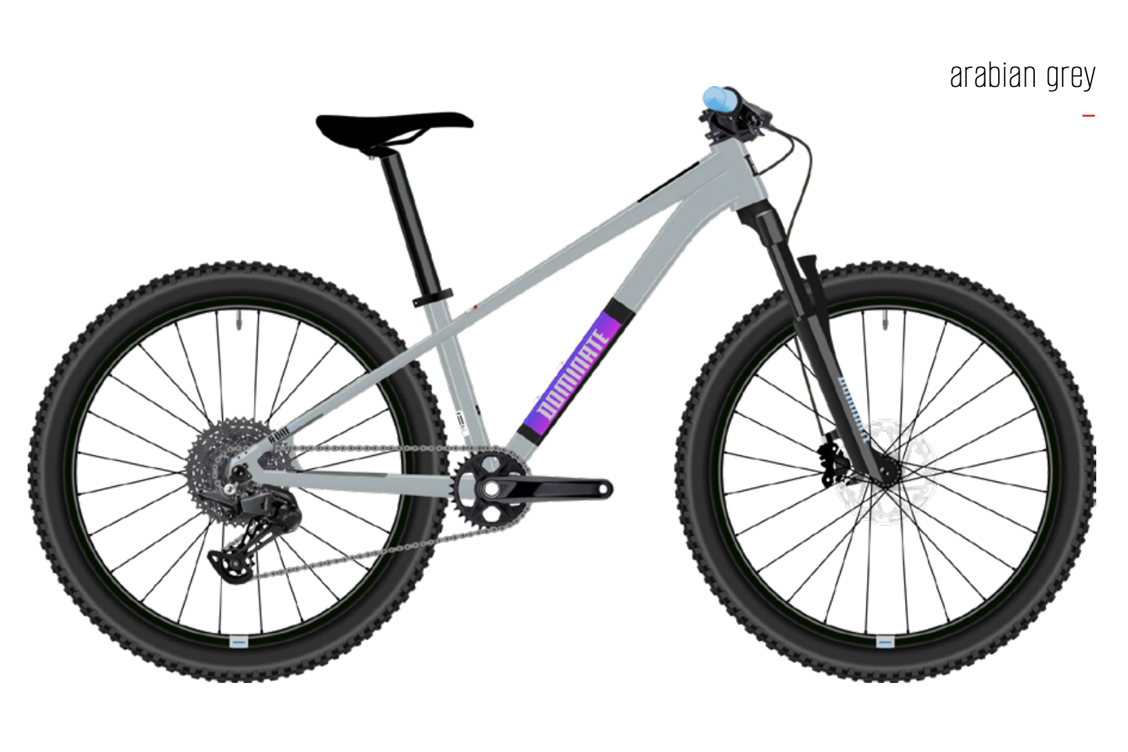 Bicicleta MTB Dominate Kids Aro 24" Grey
