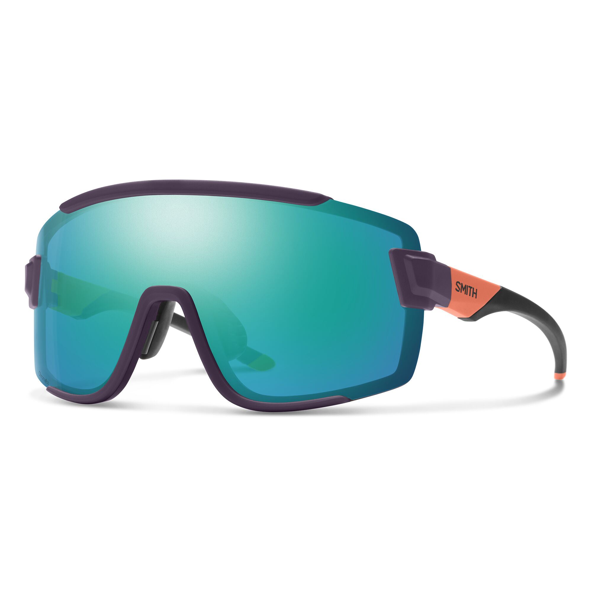 LENTE SMITH WILDCAT CT PN/PC SN BK - Rideshop