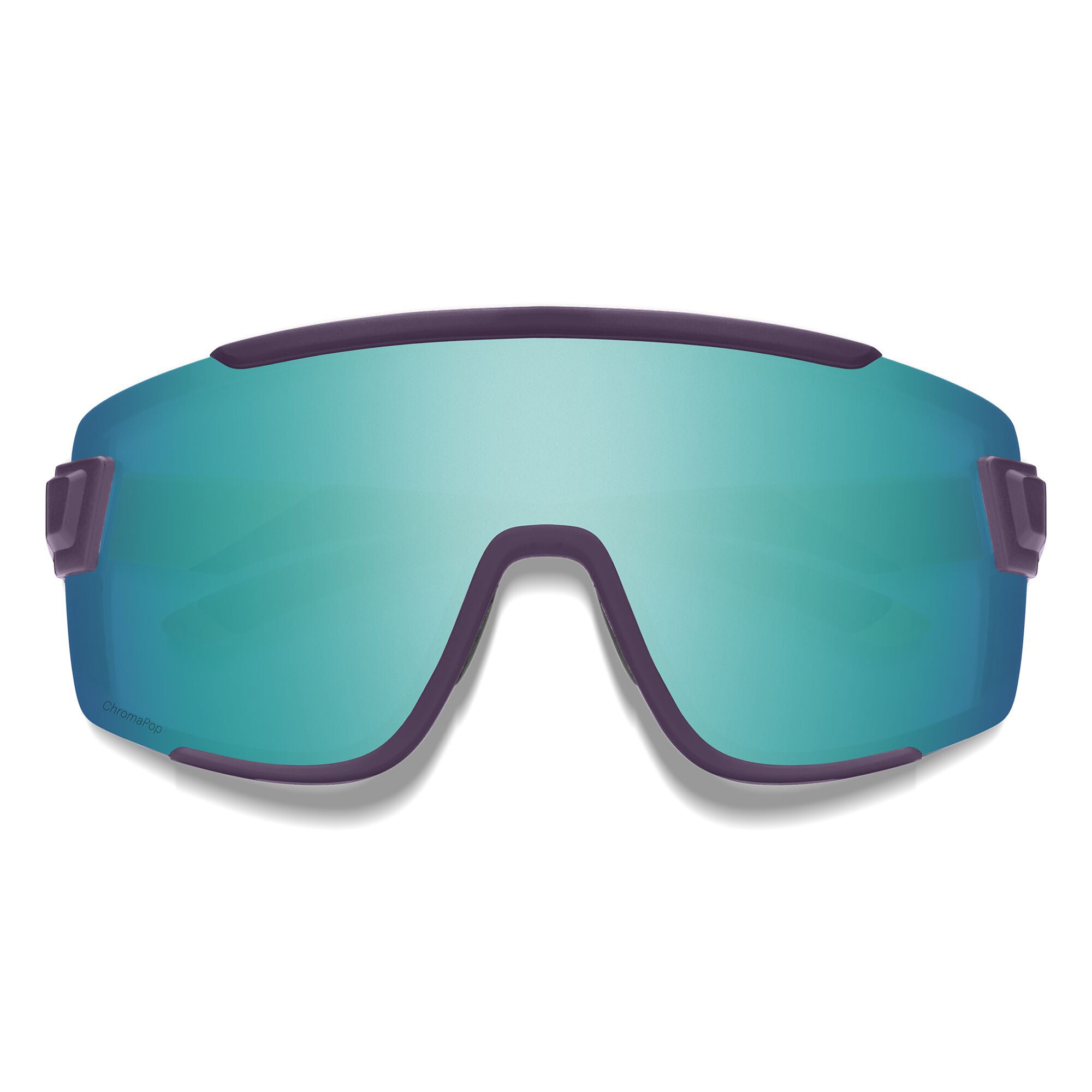 LENTE SMITH WILDCAT CT PN/PC SN BK - Rideshop