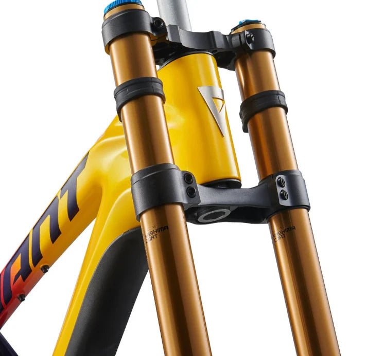 Giant Cuadro Glory Advanced Pro MX | 2023 | Ruta (Copy) - Rideshop