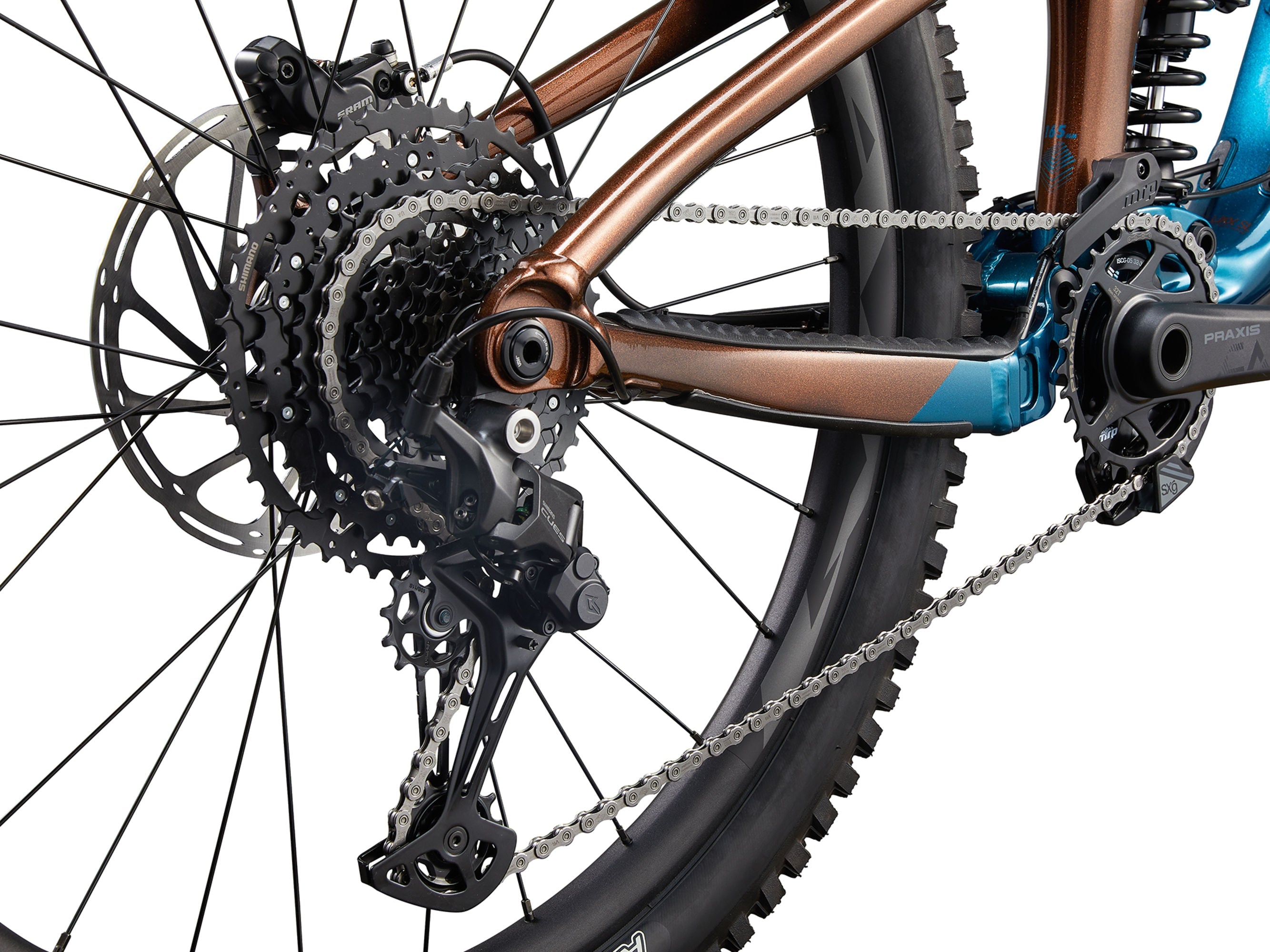 REIGN SX / PREVENTA MAYO