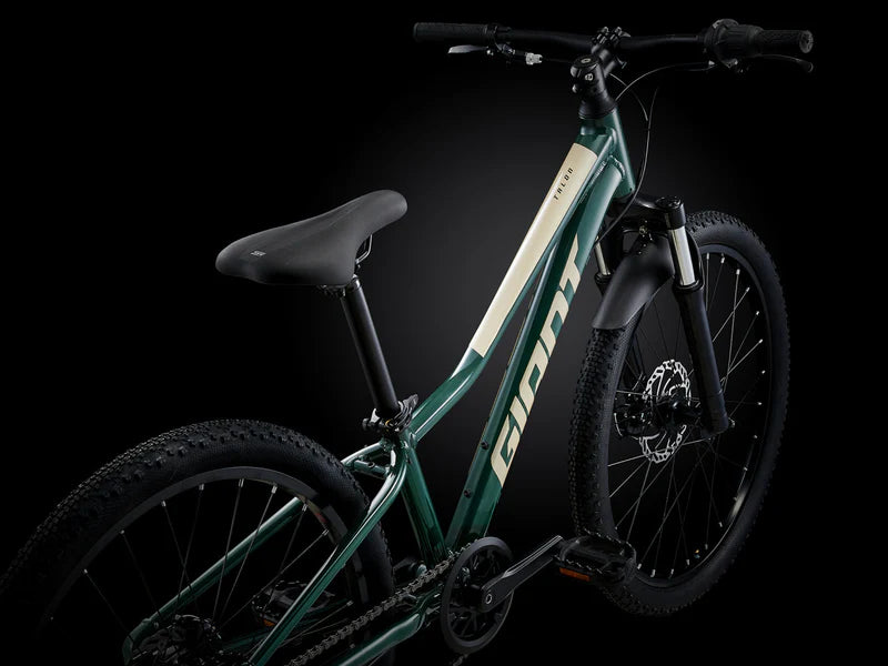 Bicicleta Niño Giant Talon 24 Disc My24 Trekking Green