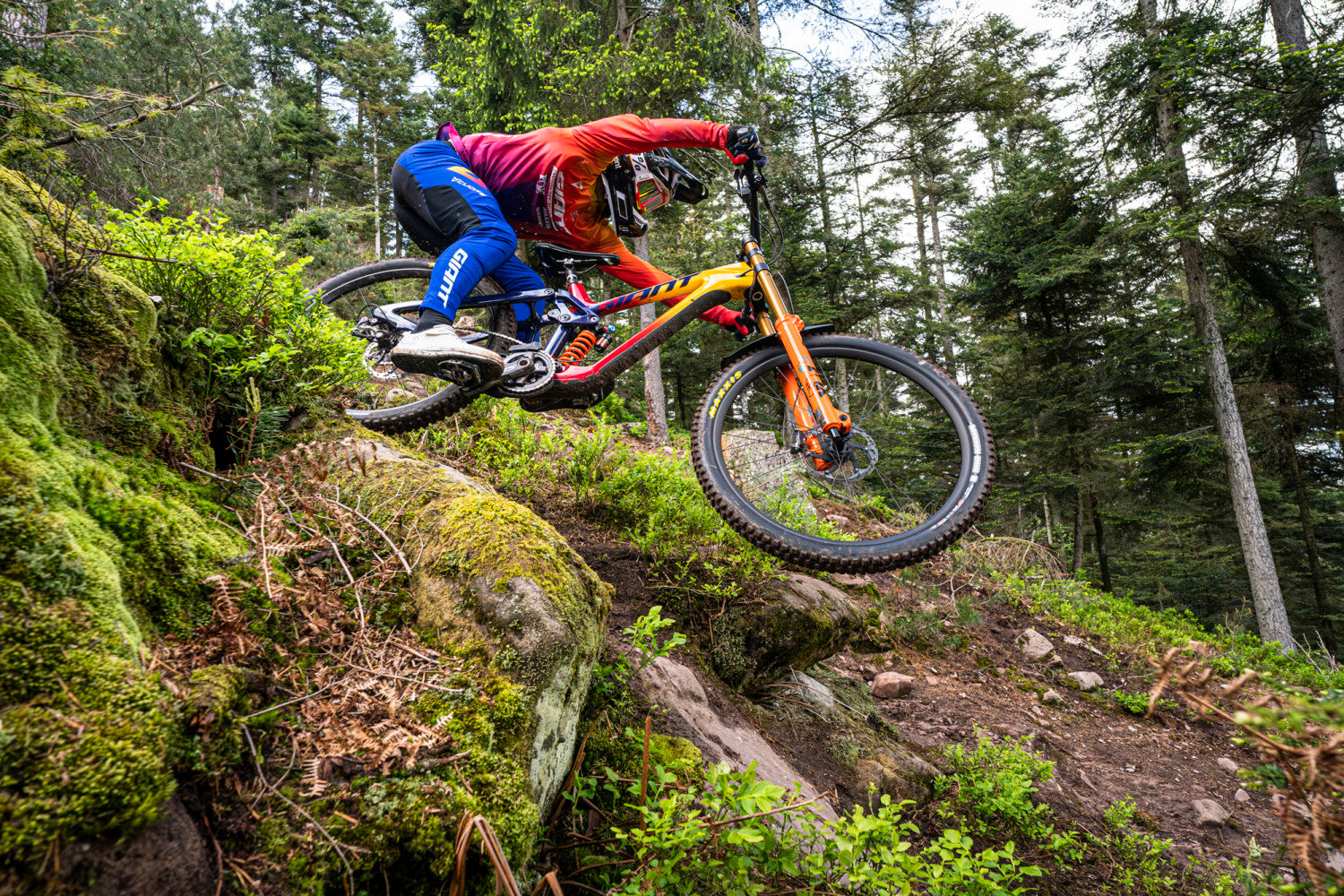 Giant Cuadro Glory Advanced Pro MX | 2023 | Ruta (Copy) - Rideshop