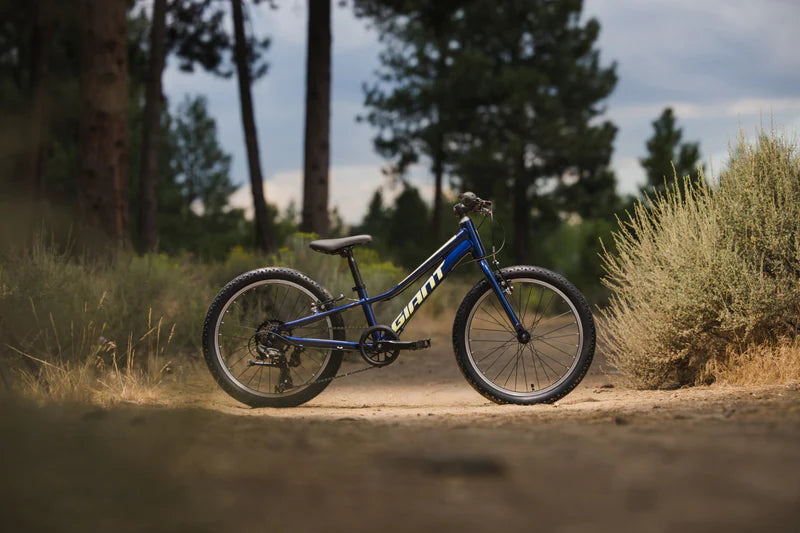 Bicicleta Niño Giant Talon 20 Lite My24 Eclipse