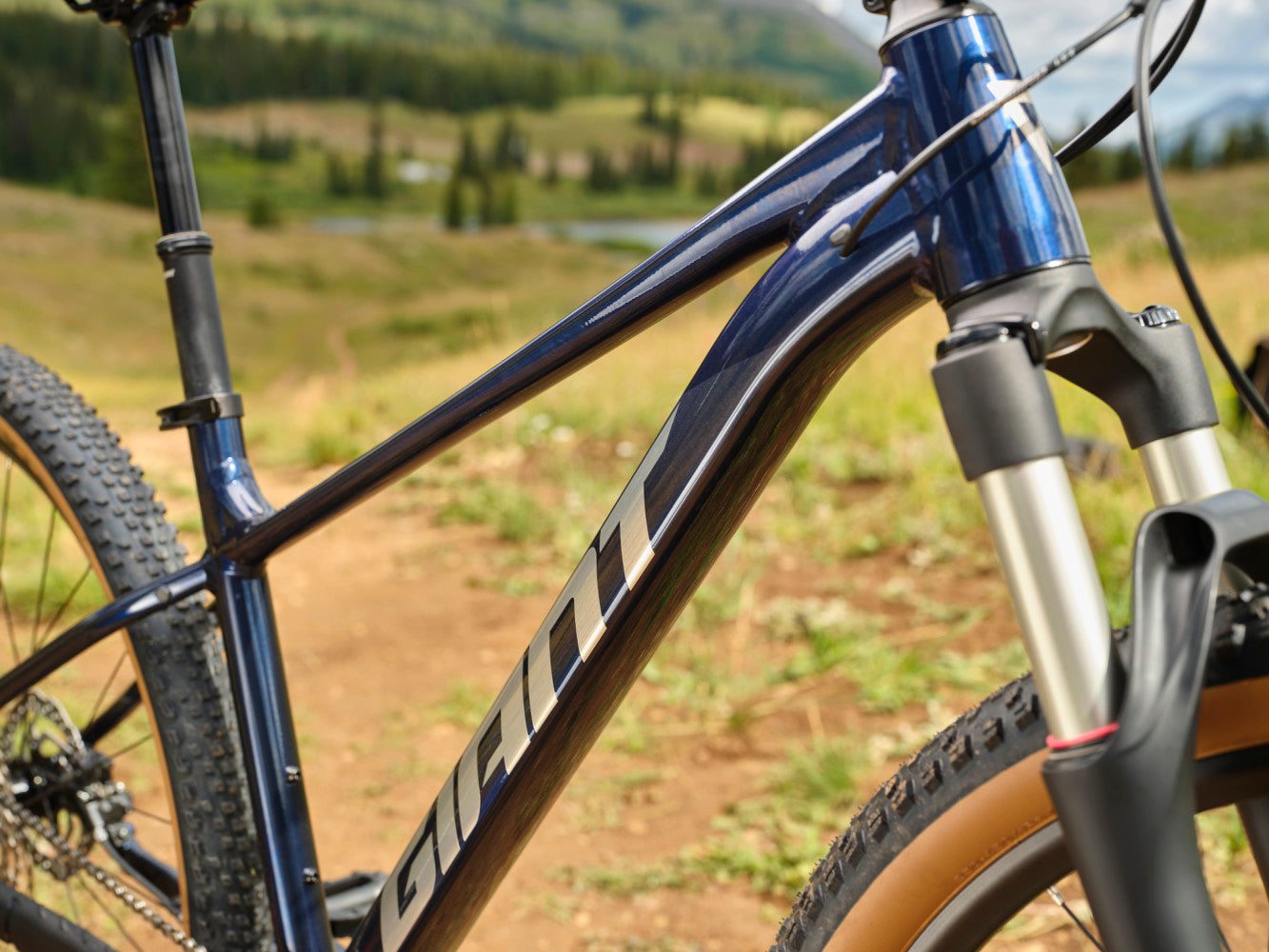 Giant Bicicleta Talon 29 0 My25 | Preventa - Entrega Junio 2026