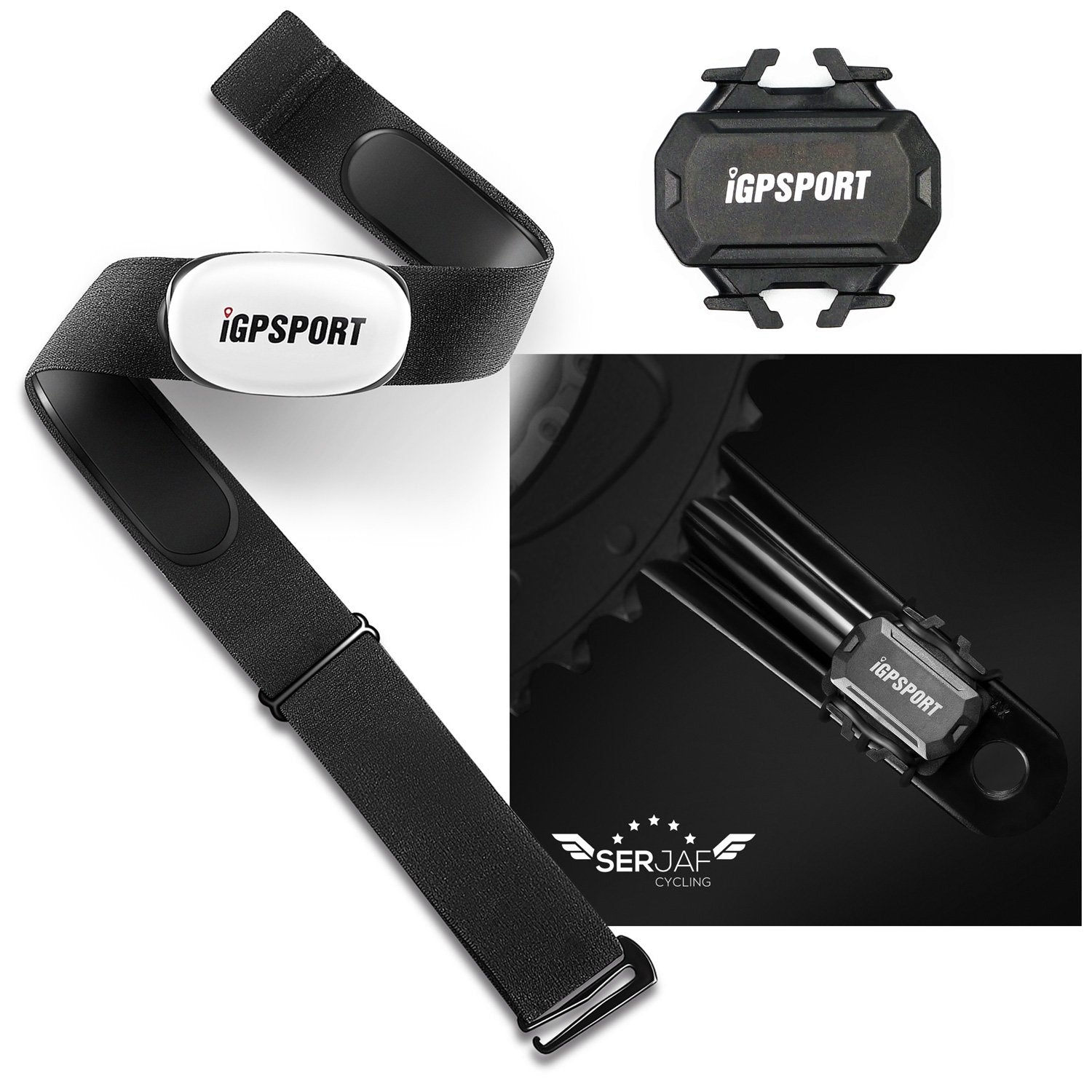 Pack Banda Cardiaca y Sensor Cadencia iGPSPORT