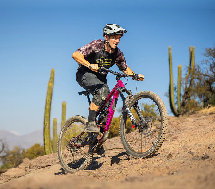 Bicicleta Polygon Collosus N9 Purple