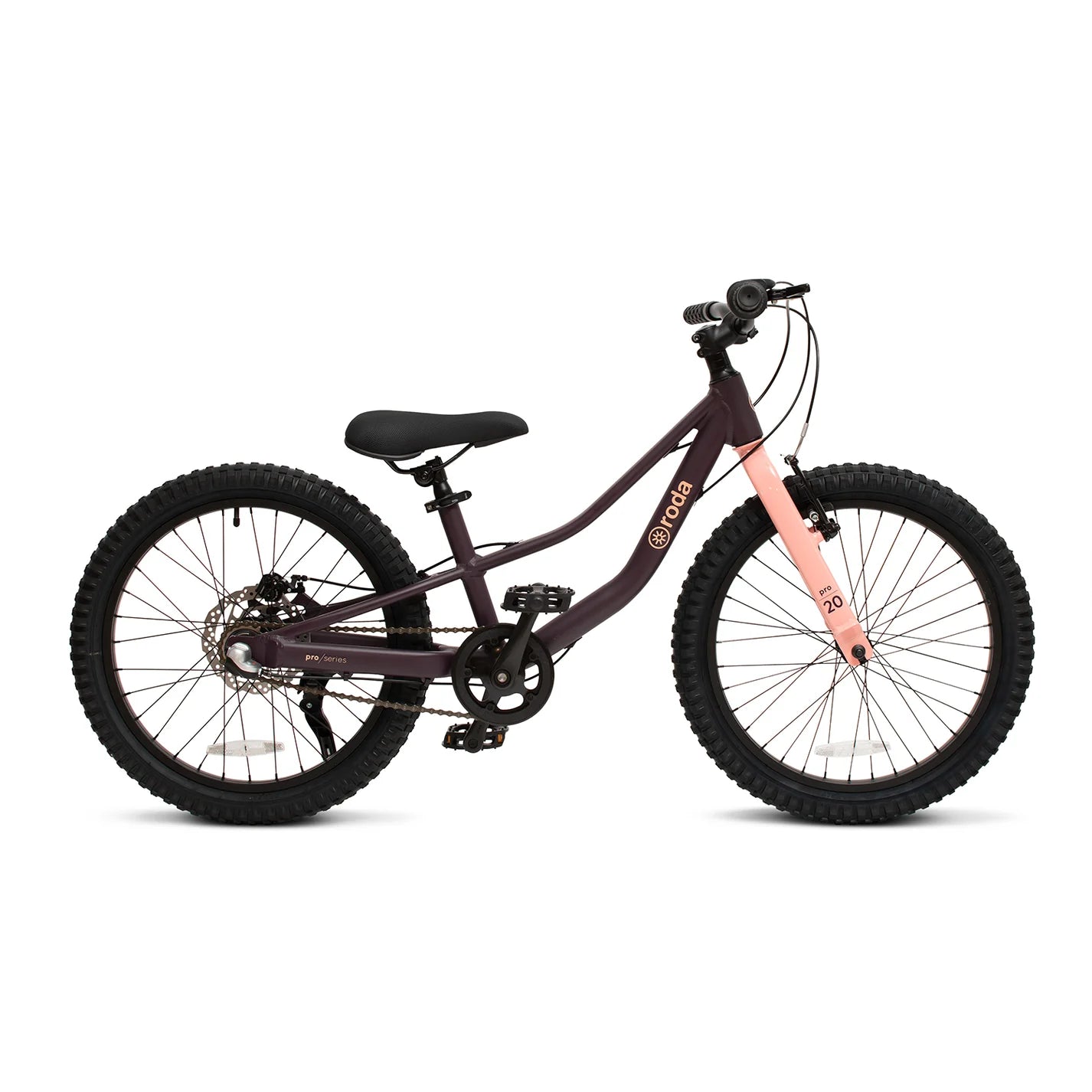 Roda Bicicleta Pro Series Aro 20 - Rideshop