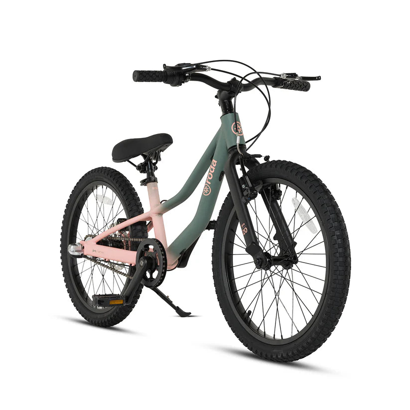 Bicicleta Infantil Roda Pro 20 Sport Verde-Rosado
