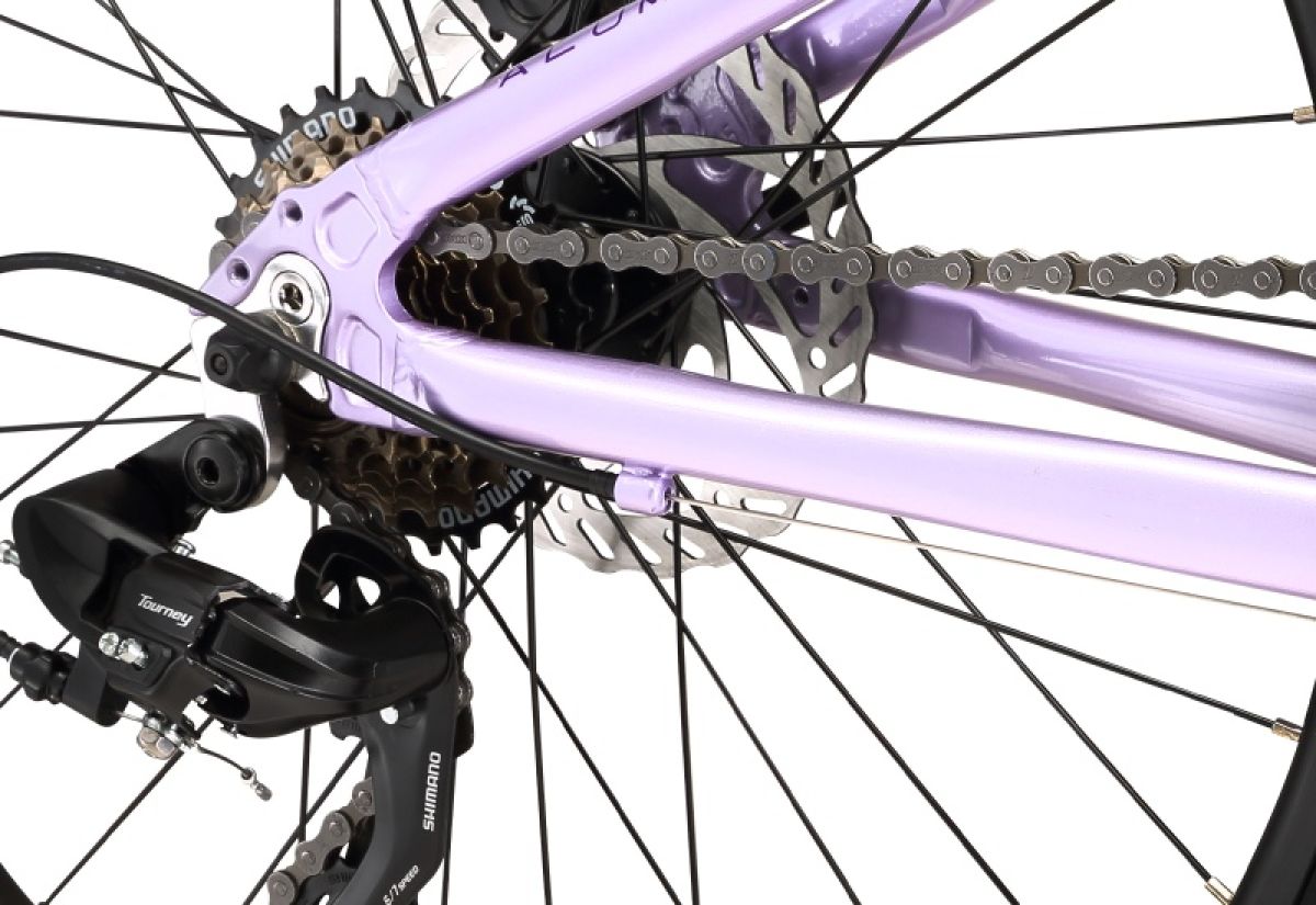 Bicicleta Infantil Oxford Luna Suspension Aro 24 Lila