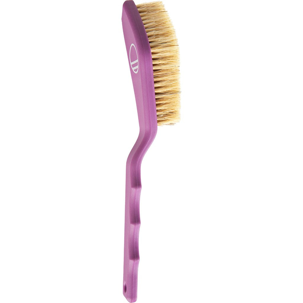 Cepillo Large Wild Country Purple
