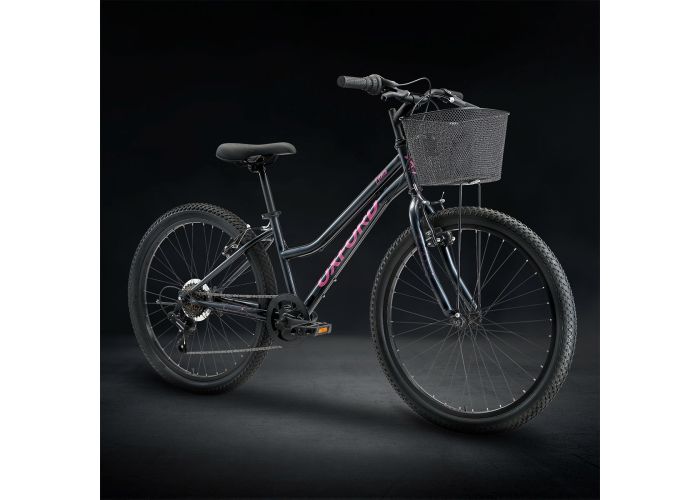 Oxford Luna 24 6V Negro - Rideshop