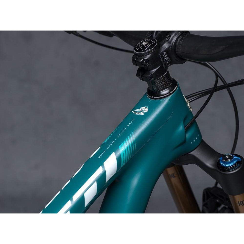 Protector Cuadro Bicicleta Pro Full Clear Matt DyedBro - Rideshop