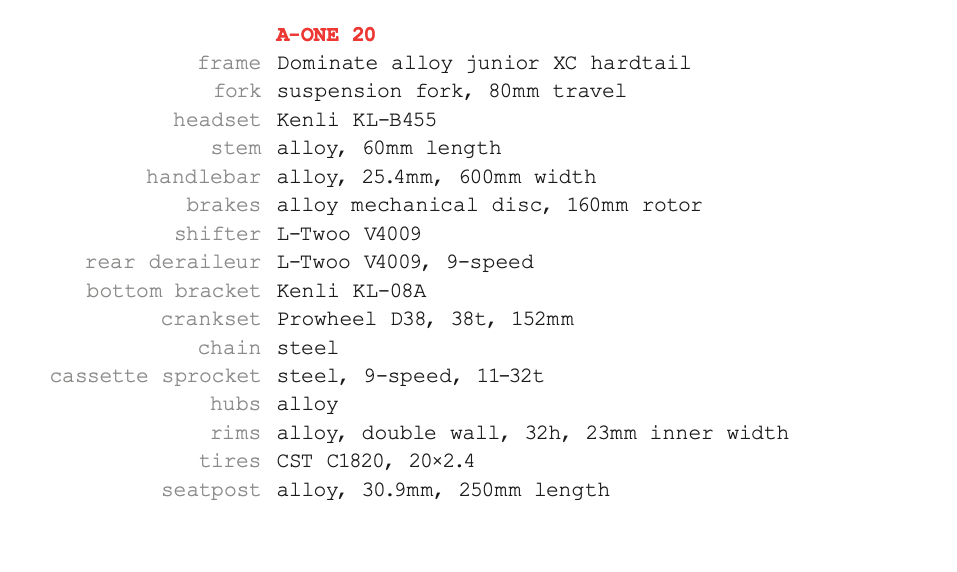 DOMINATE KIDS ARO 20" - BAY BLUE-Rideshop