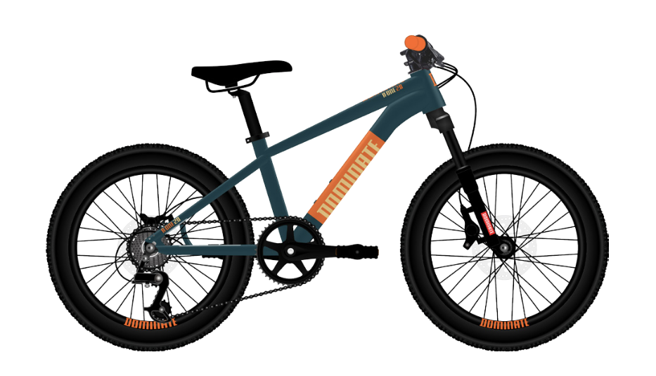 DOMINATE KIDS ARO 20" - BAY BLUE-Rideshop
