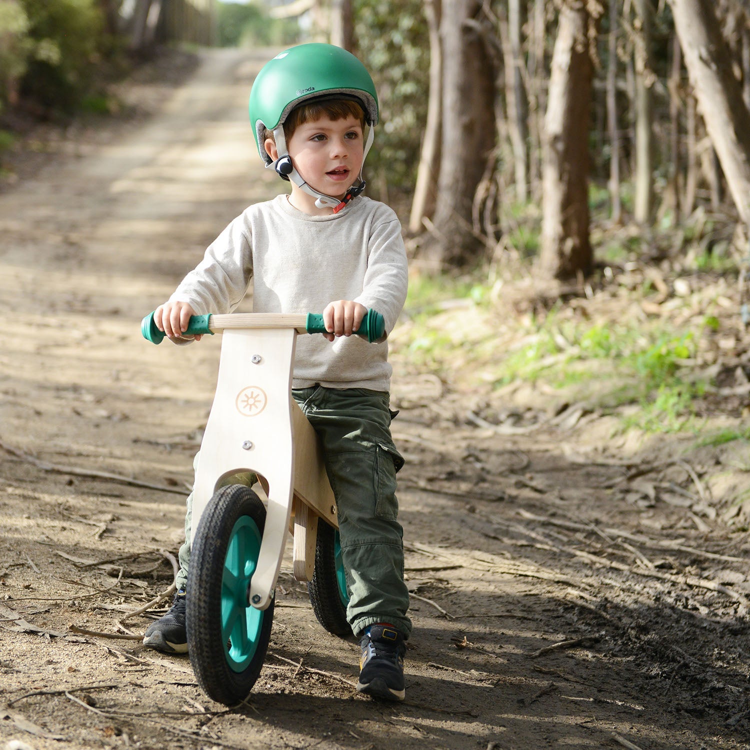 Roda Bicicleta Clasica Verde - Rideshop