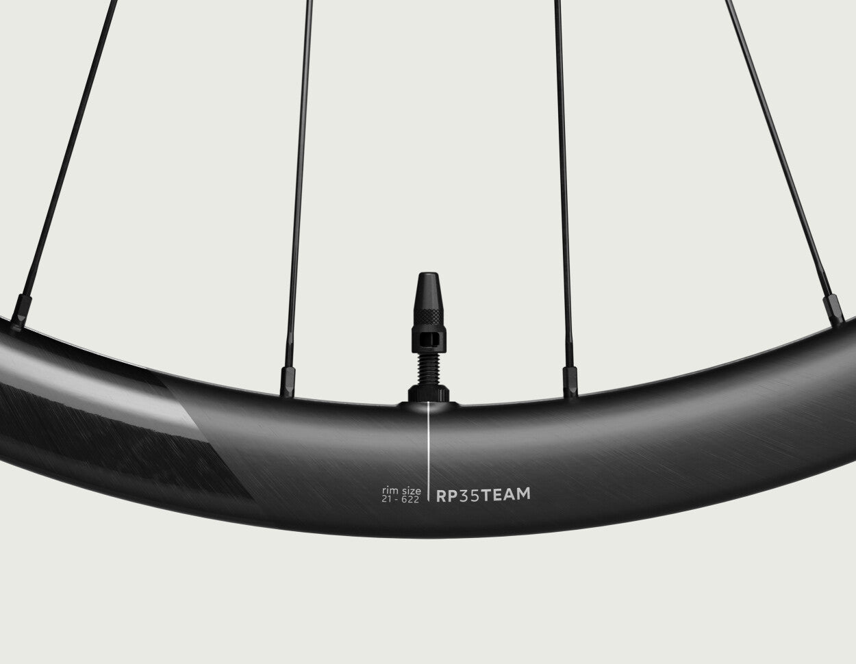 Rueda Ruta Oquo RP35TEAM Shimano HG Negra Par