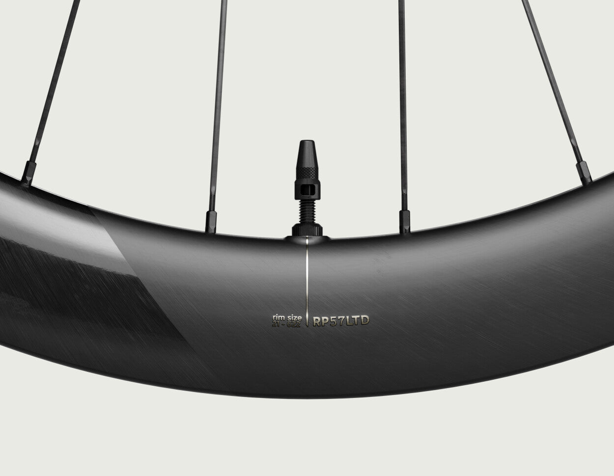 Rueda Ruta Oquo RP57 Shimano HG Negra Par