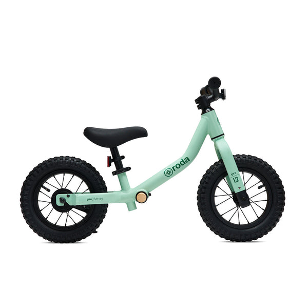 Roda Bicicleta Pro 12 Verde Agua