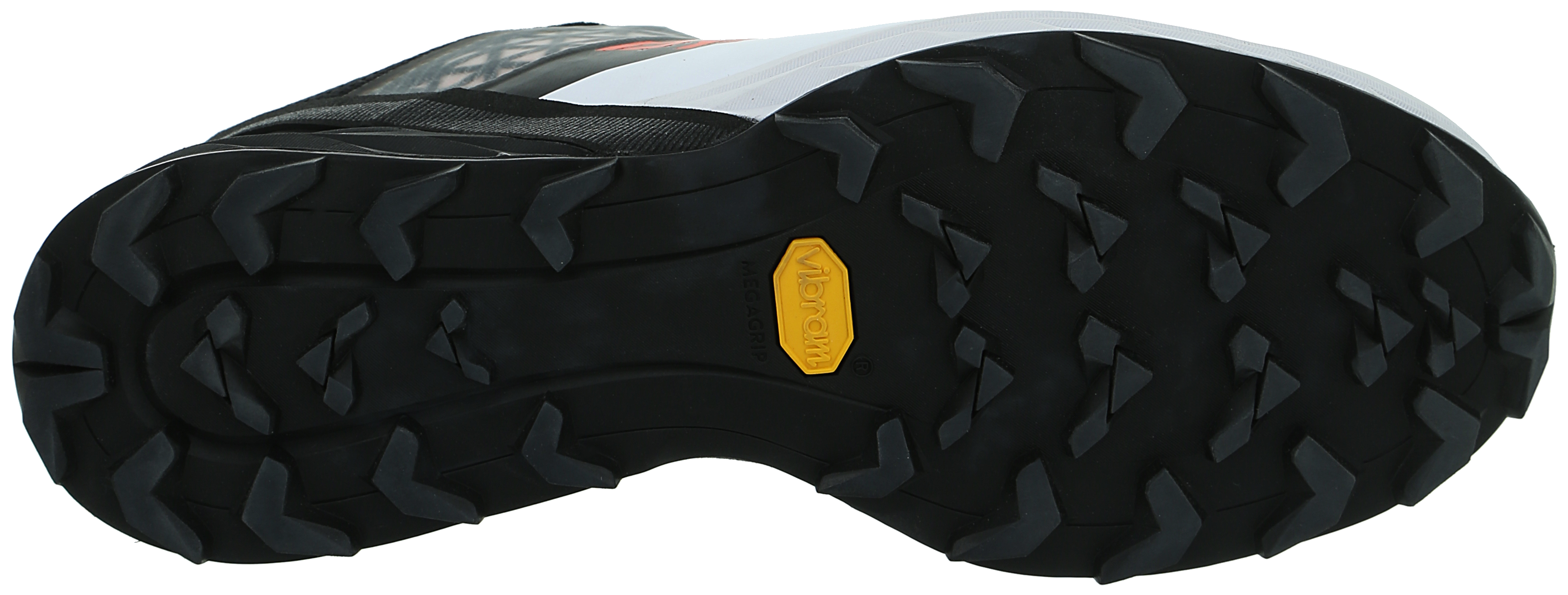 Zapatilla Hombre Alpine Dna