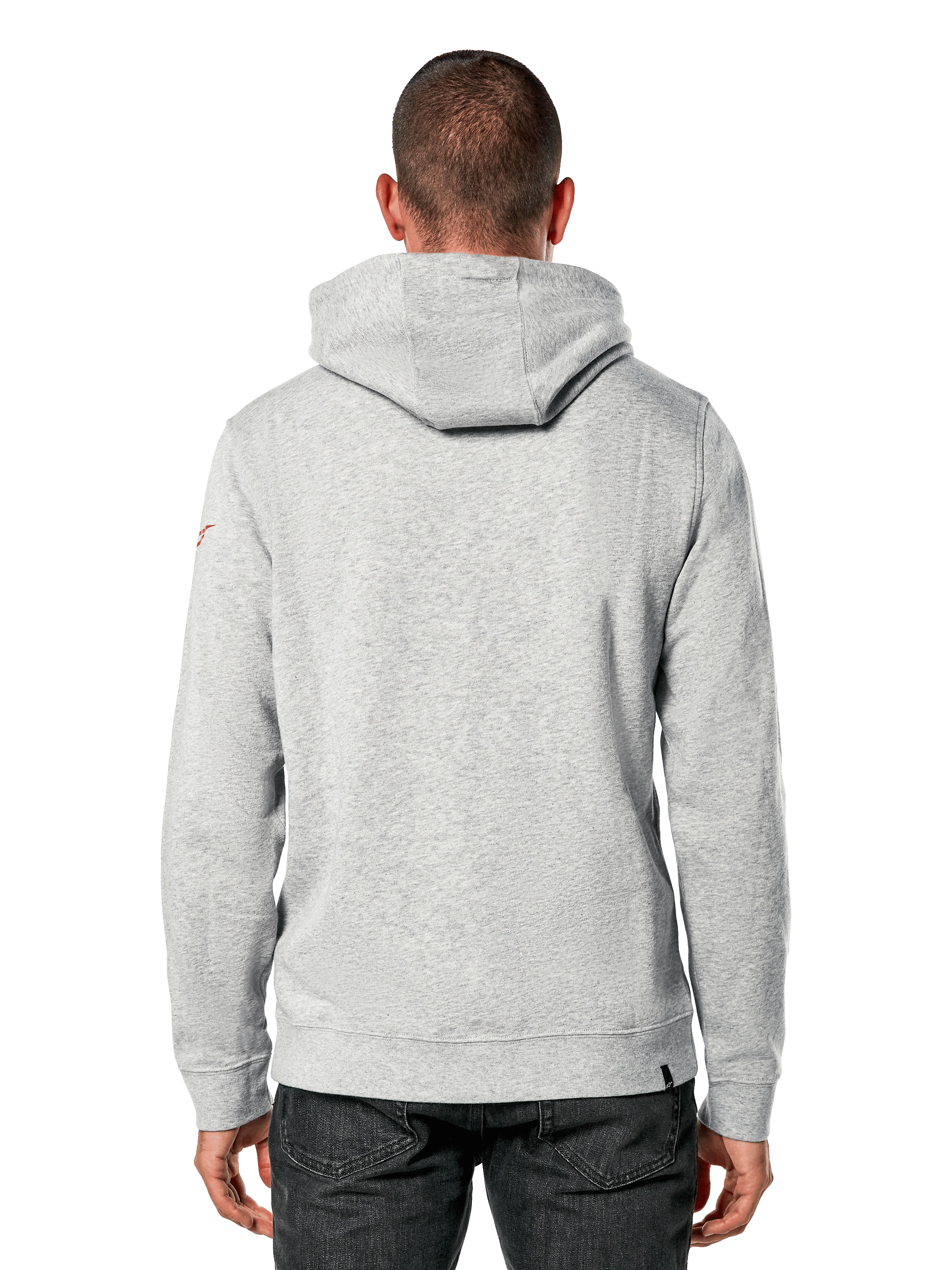 Polerón Alpinestars Linear Wordmark V3