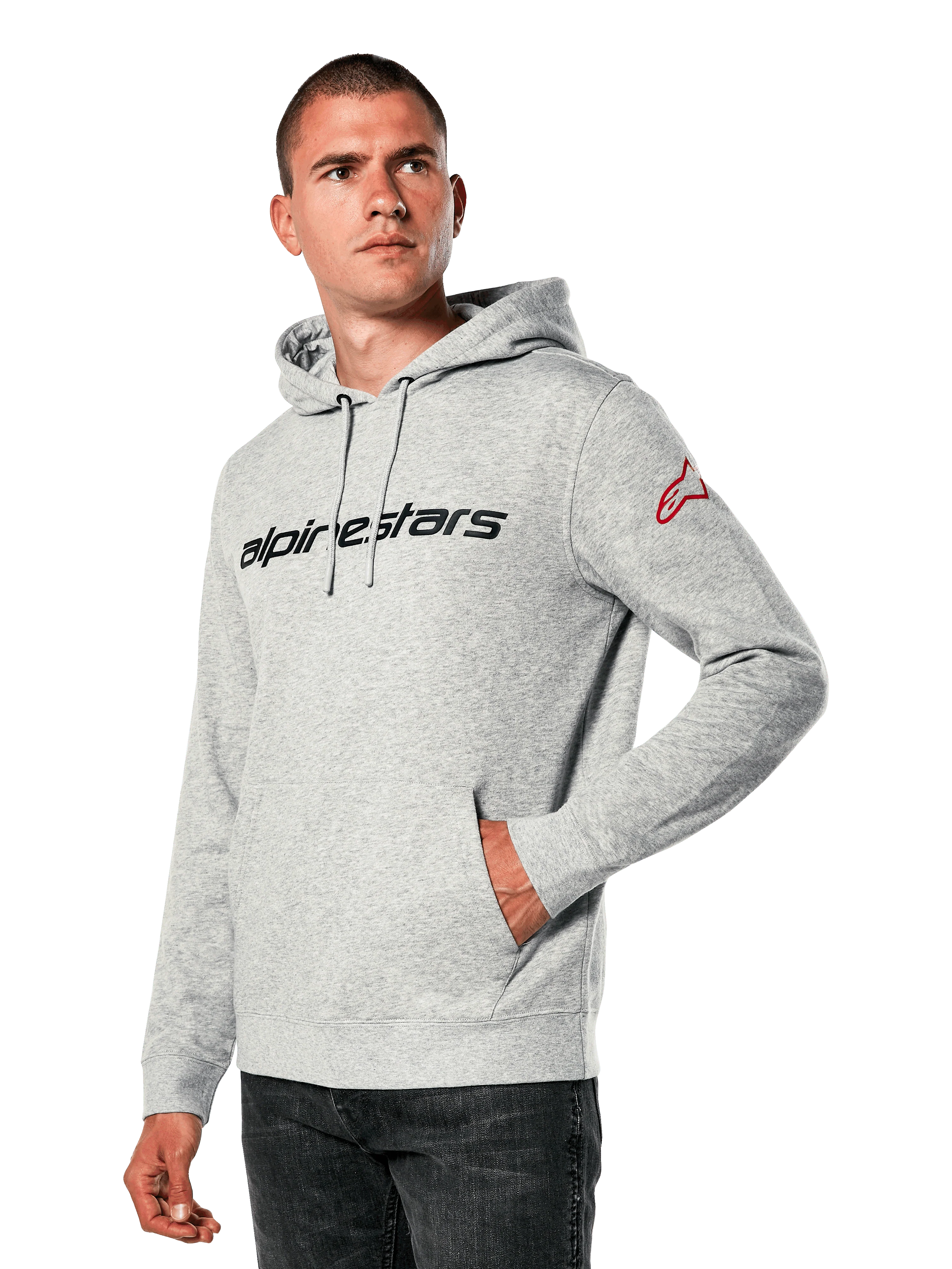 Polerón Alpinestars Linear Wordmark V3