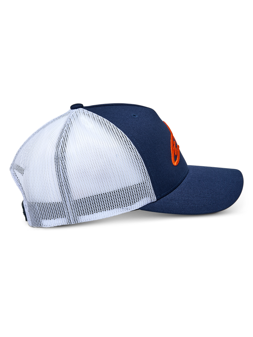 Gorro Ageless Trucker  Alpinestars