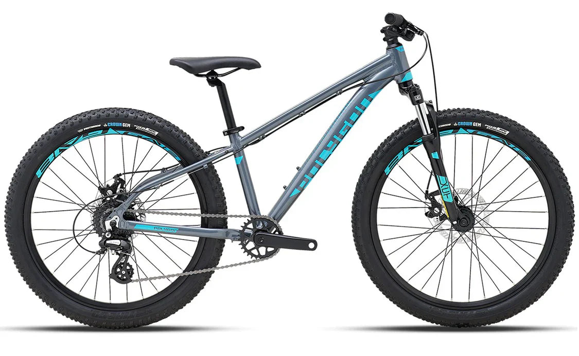 Bicicleta Niño Polygon Premier 24