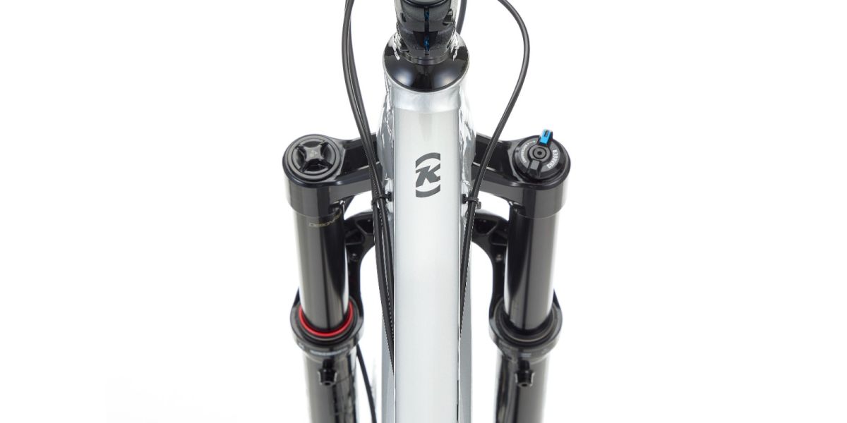 Bicicleta Kona Process 153 DL 29 Plata