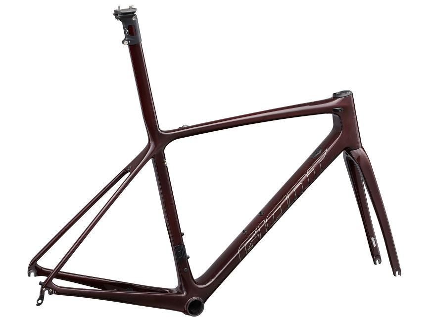 Giant Cuadro Tcr Advanced Sl My22 - Rideshop