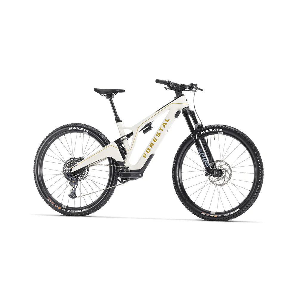 Bicicleta Electrica Forestal 29" Cyon Halo Crayon Grey