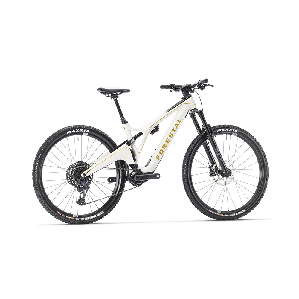 Bicicleta Electrica Forestal 29" Cyon Halo Crayon Grey