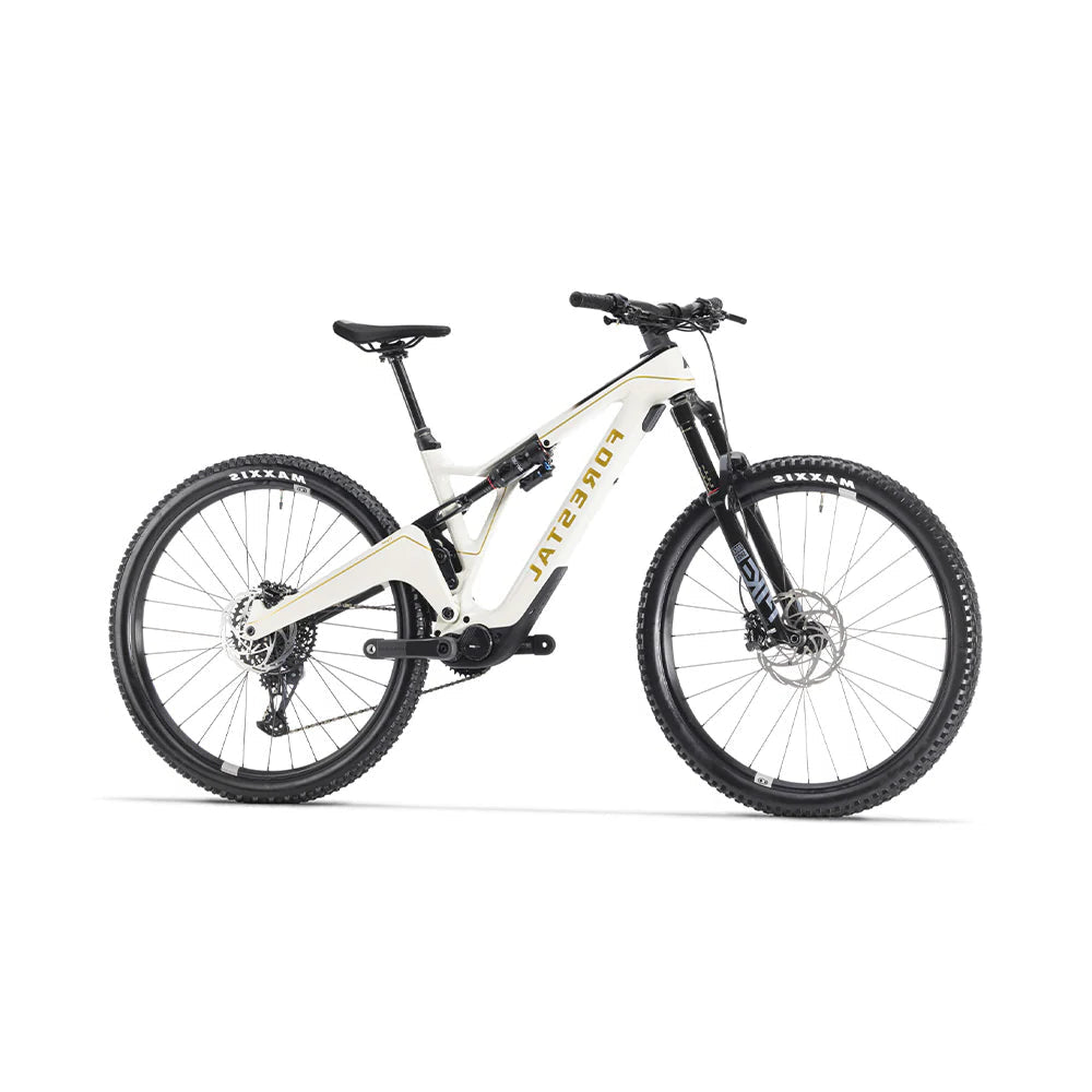 Bicicleta Electrica Forestal 29" Cyon Halo Crayon Grey