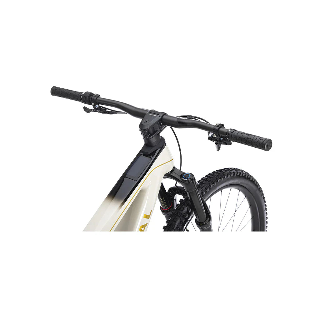 Bicicleta Electrica Forestal 29" Cyon Halo Crayon Grey