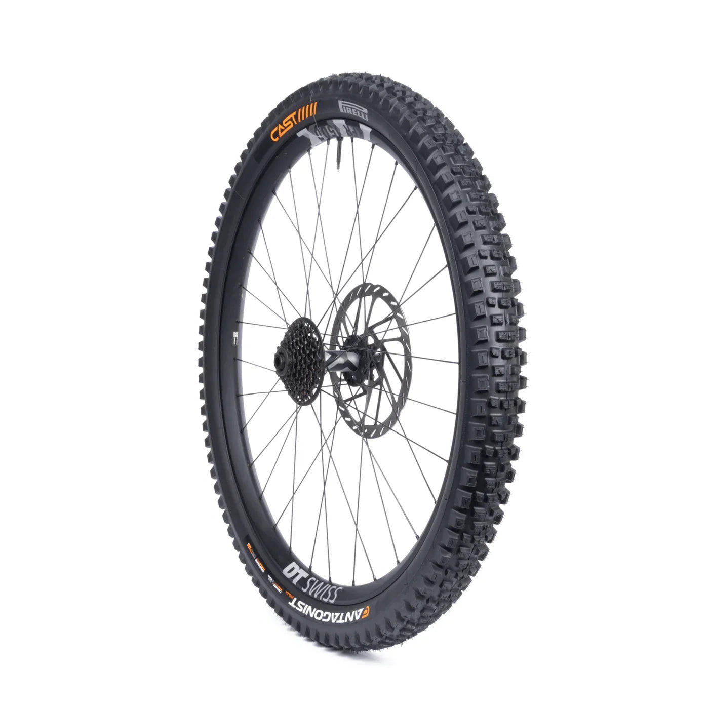 Neumático CAST Antagonist DH/Enduro 29x2.4 DualWall