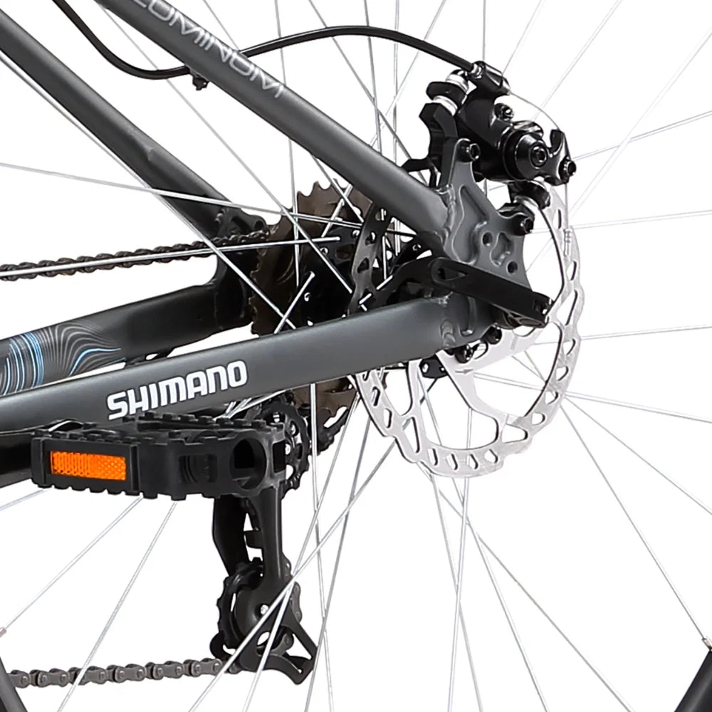 Bicicleta Oxford Aro 29 Beast 21V Grafito