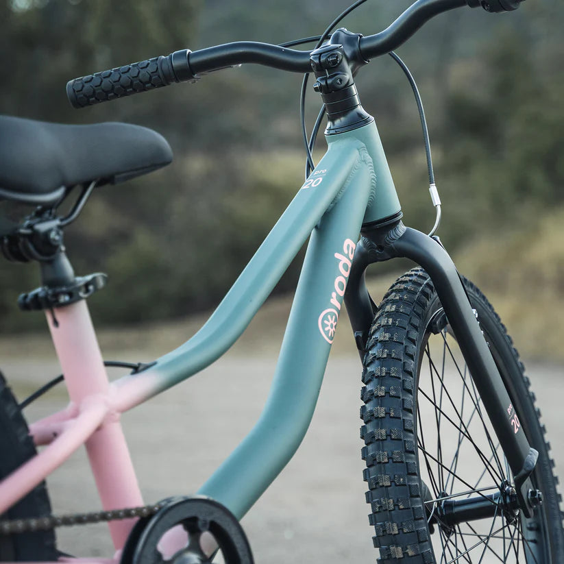 Bicicleta Infantil Roda Pro 20 Sport Verde-Rosado