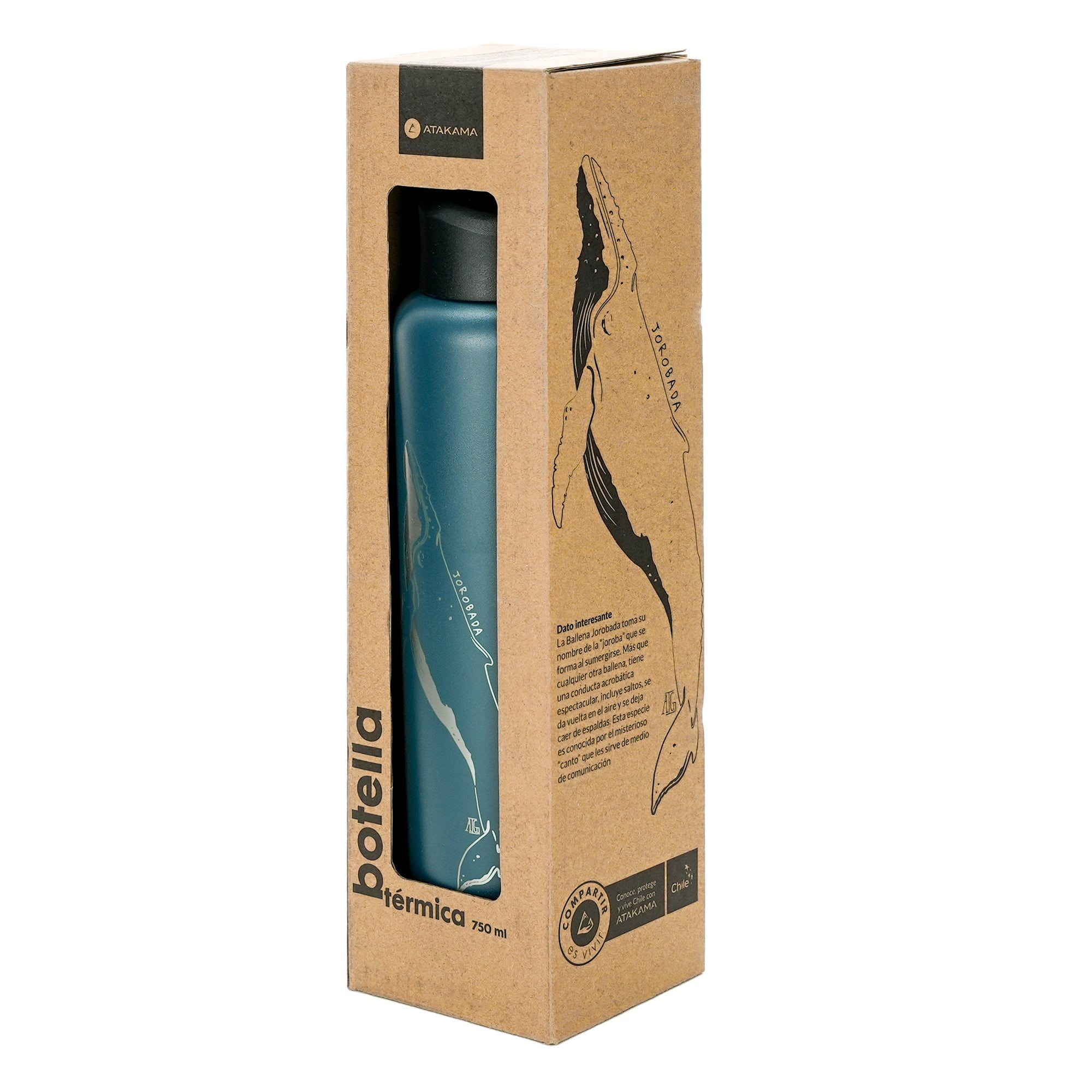 Botella térmica Ballena jorobada 710 ml Azul