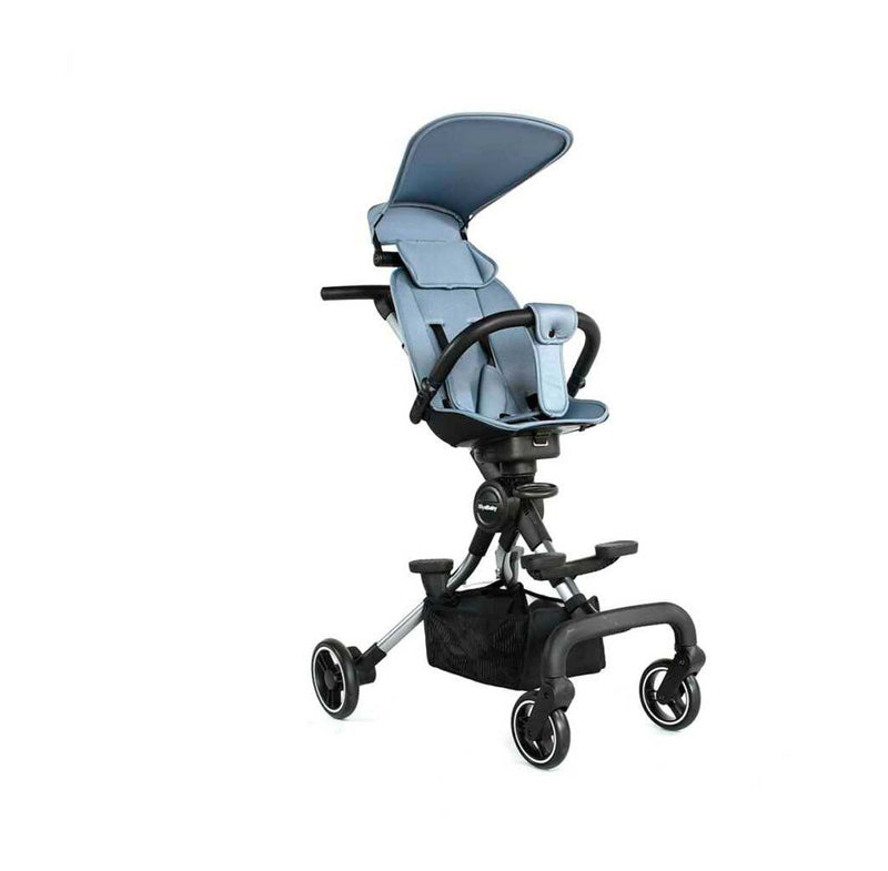 Royal Baby Coche Easy Carrying Gris - Rideshop