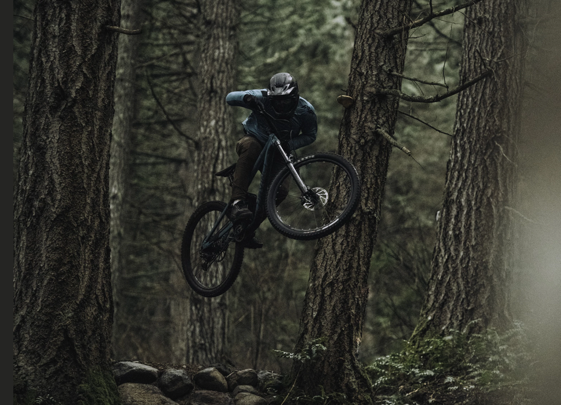 Devinci Chainsaw Enduro Sx Silver 2023 - Rideshop