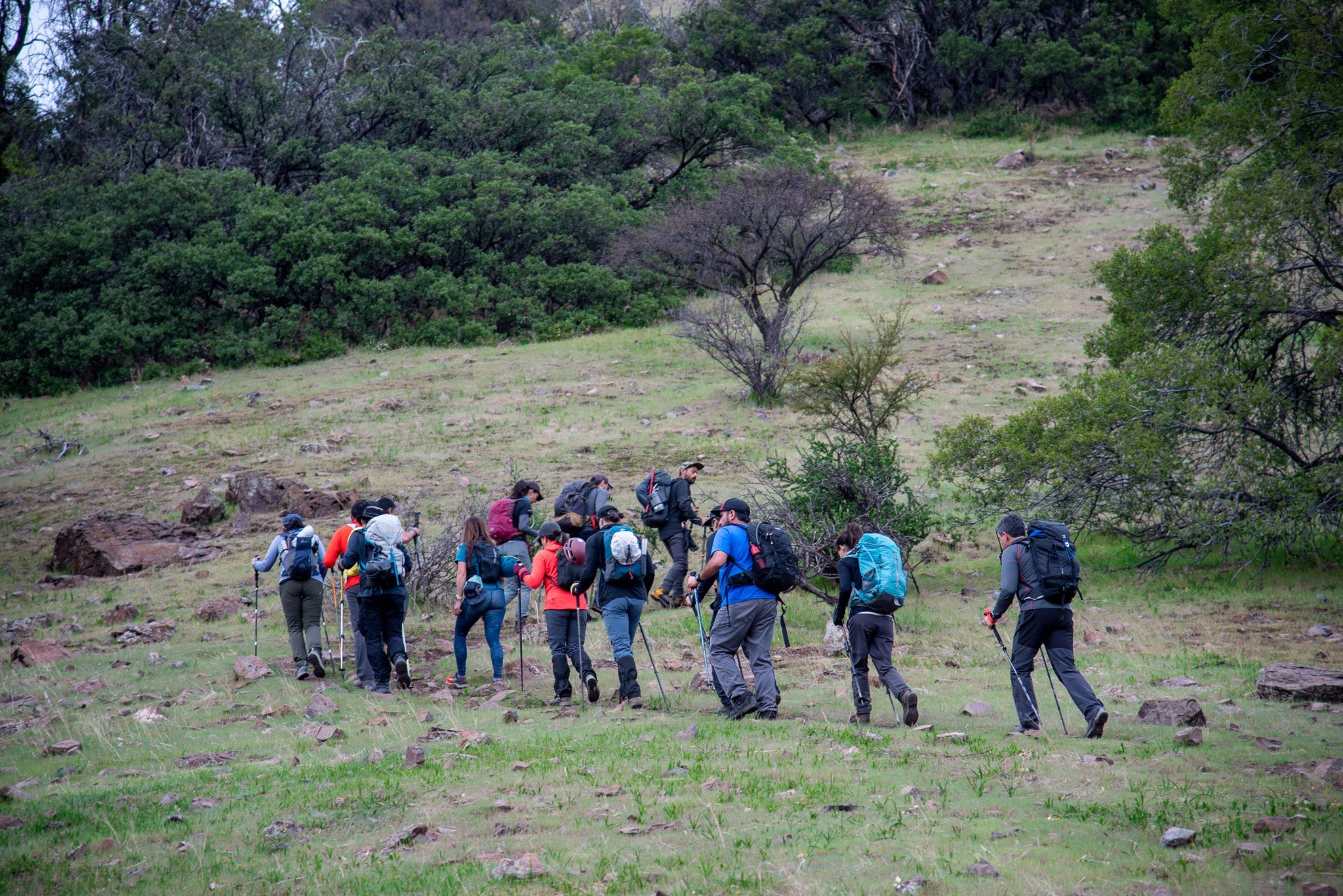 Subida al Cerro Canoitas