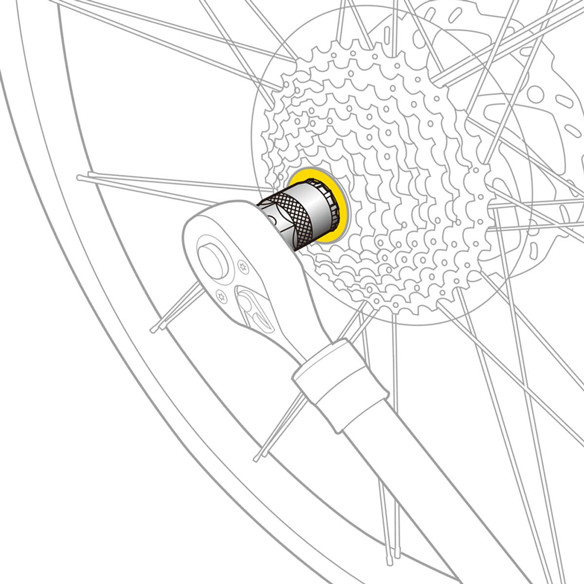 Topeak Extractor de Piñon Shimano/Sram - Rideshop