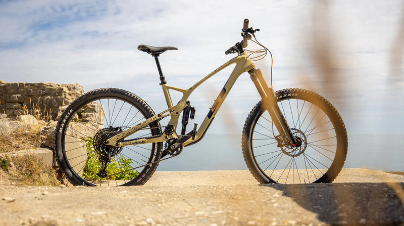 Muc-Off Chainstay Protection Kit -Punk - Rideshop